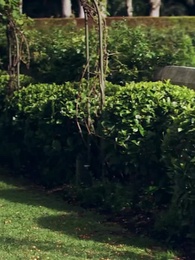 燃燒我的愛 - Episode 25