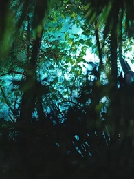 第1話 - 柳の精よ、復讐に力を貸して