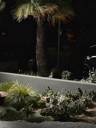 第45話 - [吹替]離婚令嬢は、頂点を目指す