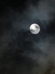 Mãe por Acordo: A Cura e a Conspiração - Episode 15