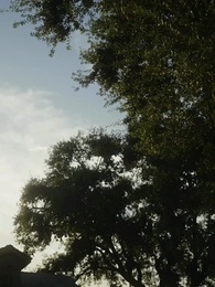 Donmuş Kalp - Episode 8