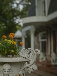 Donmuş Kalp - Episode 49