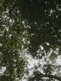 Bölüm 69 - Donmuş Kalp