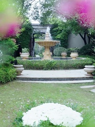 Episodio 46 - Amor Inalcanzable