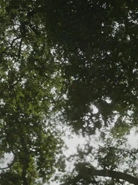 Episódio 69 - Roubando Meu Alfa Frio