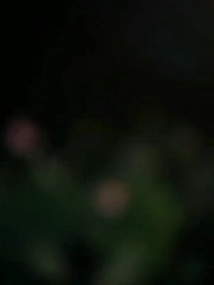 La Venganza de la Última Flor - Episode 1