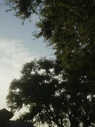 Episódio 8 - Roubando Meu Alfa Frio