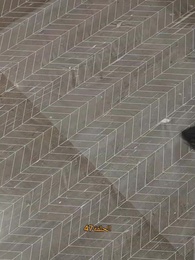 الحلقة 47 - [مدبلج]أنا من أهل السمو