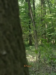 الحلقة 67 - [مدبلج]أنا من أهل السمو