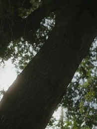 Roubando Meu Alfa Frio - Episode 2