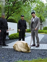 Episodio 36 - La Fénix Regresa