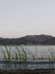 Episode 1 - Vampir dan Serigala Memperebutkanku