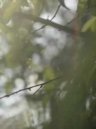 Roubando Meu Alfa Frio - Episode 18