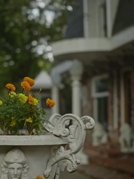 Roubando Meu Alfa Frio - Episode 49