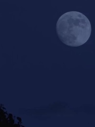 14화 - 환생 ,엇갈린 국운