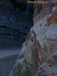 Episodio 21 - El Defensor de la Fortaleza