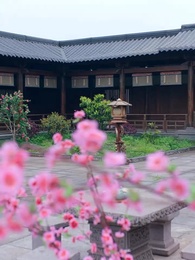 引硃砂 - Episode 37