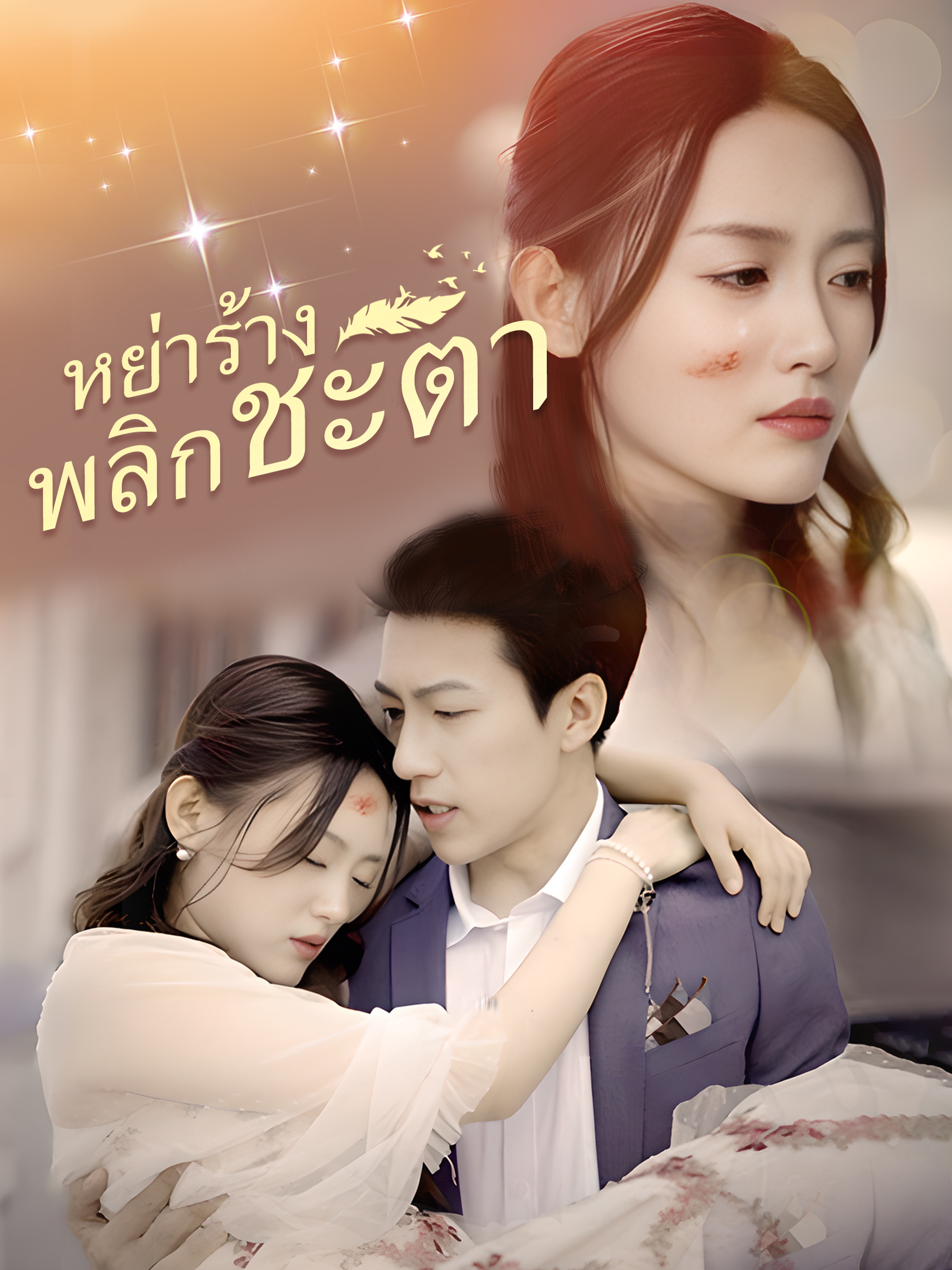 หย่าร้างพลิกชะตา (พากย์ไทย)