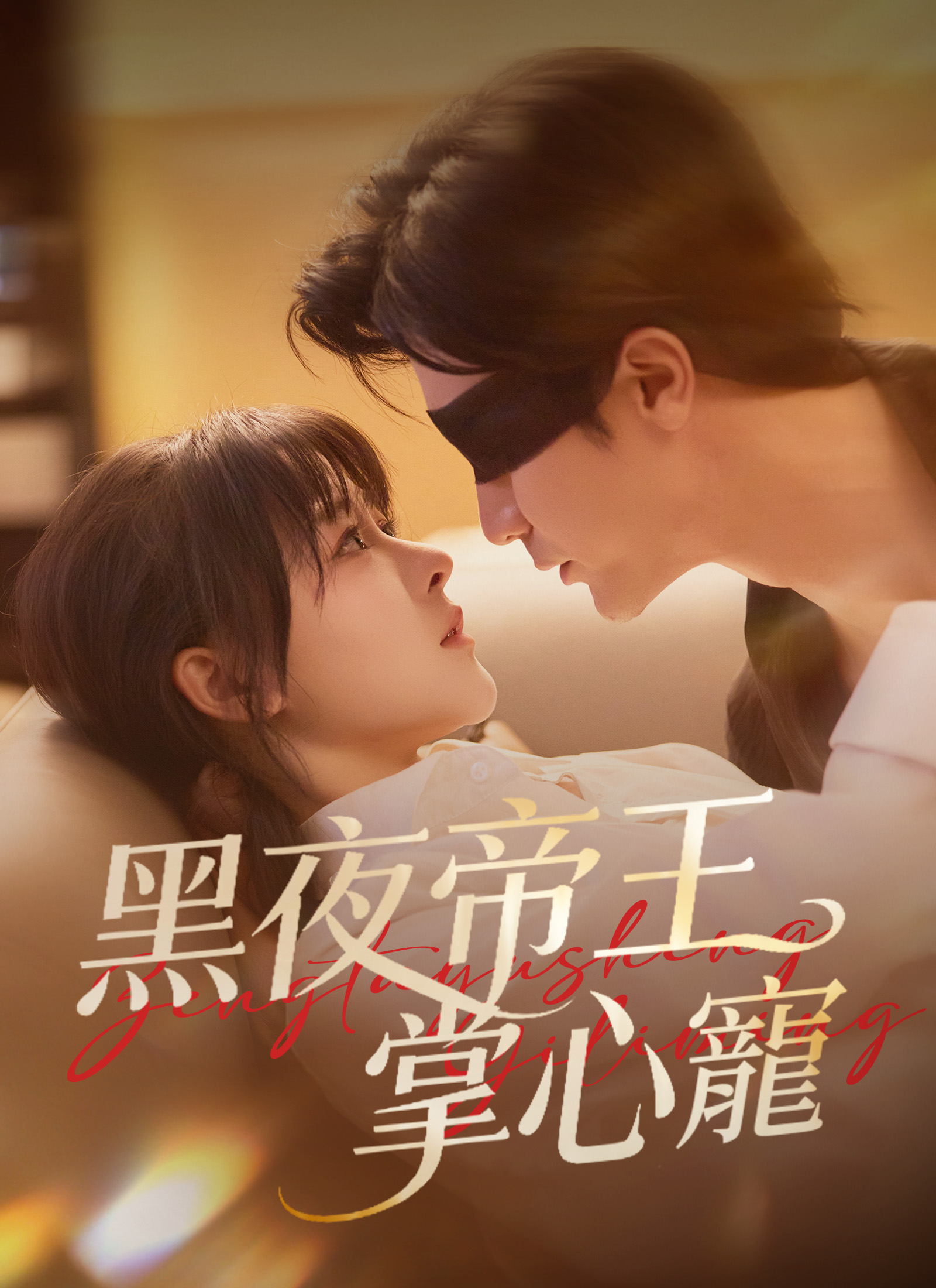 《黑夜帝王掌心寵》封面