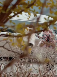 撥開雲霧說愛你 - Episode 12