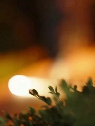 都市隱龍 - Episode 57