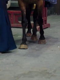 환생 ,엇갈린 국운 - Episode 3