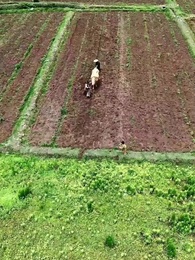 犬父定乾坤 - Episode 62