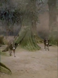 L’Ordre Perdu : Âme Éveillée - Episode 26