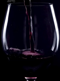 第56集 - 長期虐待我的家族跪求我