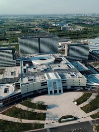 Tập 62 - Cháu Ơi Từ Đâu Đến?