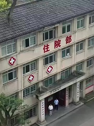 [Lồng Tiếng] Khi Én Về Tổ - Episode 1