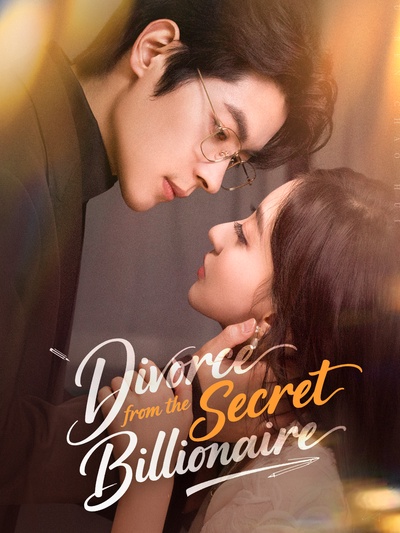 Divorce from the Secret Billionaire poster