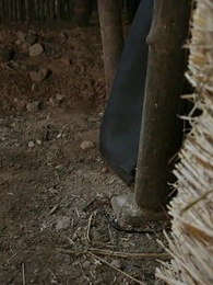 Küllerden Doğan Sevda - Episode 32