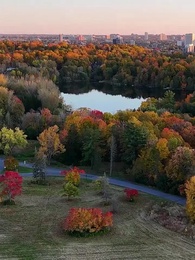 Episode 1 - Meine Tochter weint? Euer Rudel stirbt!