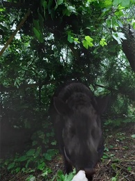 Ma Fille Porte-Bonheur - Episode 49