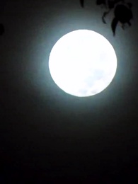 父愛無言 - Episode 55