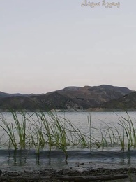 الحلقة 1 - [مدبلج]بين نابٍ ومخلب: سحرٌ أعاد قدرها