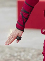 Tập 33 - Phượng Hoàng Tái Thế 