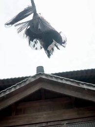 การไล่รักของราชันย์ - Episode 39