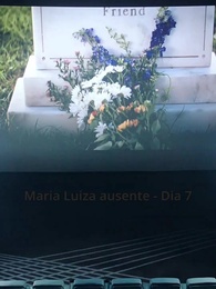 Quando o Amor Falha - Episode 12