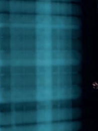 Amor sin Cuidado, Polvo al Viento - Episode 2