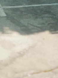 Серия 33 - Нашёл Бездомного Ликана В Пару