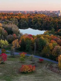 Bölüm 1 - Alfa Kralın İntikamı