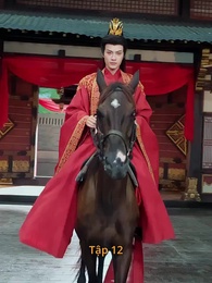 Tập 12 - [Lồng tiếng]Đơn Thương Độc Mã