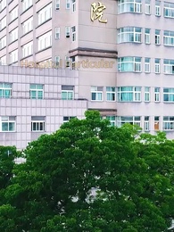 A Vingança do Marido Substituto - Episode 11