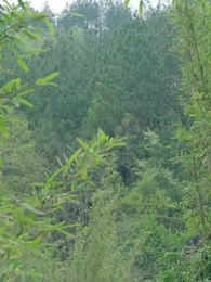 Bölüm 26 - Kaderle Mühürlenen Aşk	