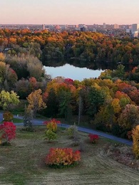 الحلقة 1 - العواء الأخير: انتقام الملك الذئب