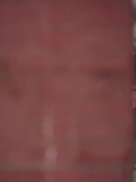 Bölüm 13 - Sahte Kimlik