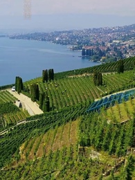 第1話 - 偽物令嬢の私と、本物の御曹司お兄ちゃん