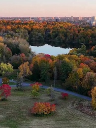 Episódio 1 - O Último Uivo: Vingança do Rei Alfa